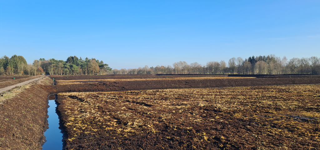 ZukunftMoor